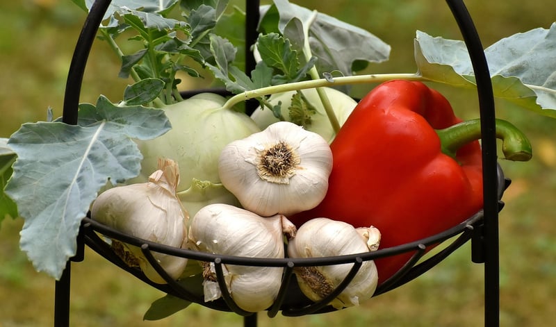 Farm to Table